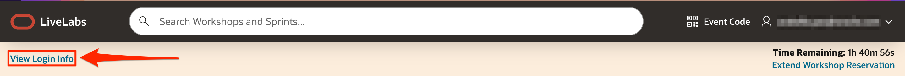 View Login Info